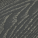 Fossil
